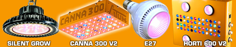 Entdecken Sie unsere Pflanzenlampen